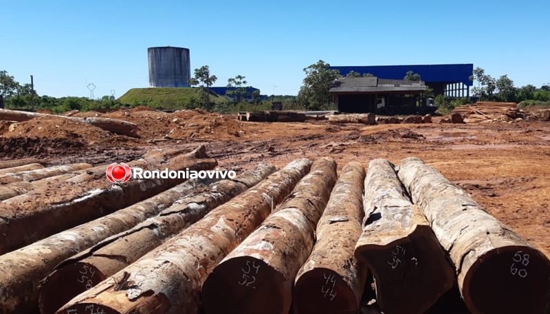 CRIME ORGANIZADO: Exército e PF agem contra quadrilhas que extraem madeiras de terras indígenas