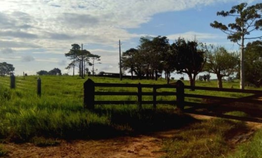 NA FAZENDA: Funcionário é agredido a cadeirada ao pedir para gerente baixar som