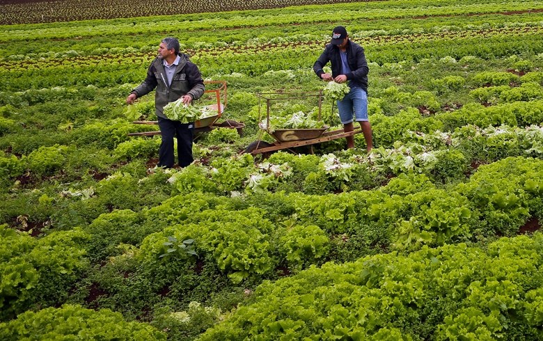 RESPOSTA: Ministério da Agricultura nega que tenha cortado verbas do Pronaf