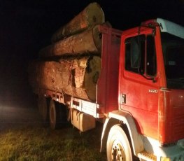 CRIME AMBIENTAL - Dois são presos por transporte irregular de madeira 