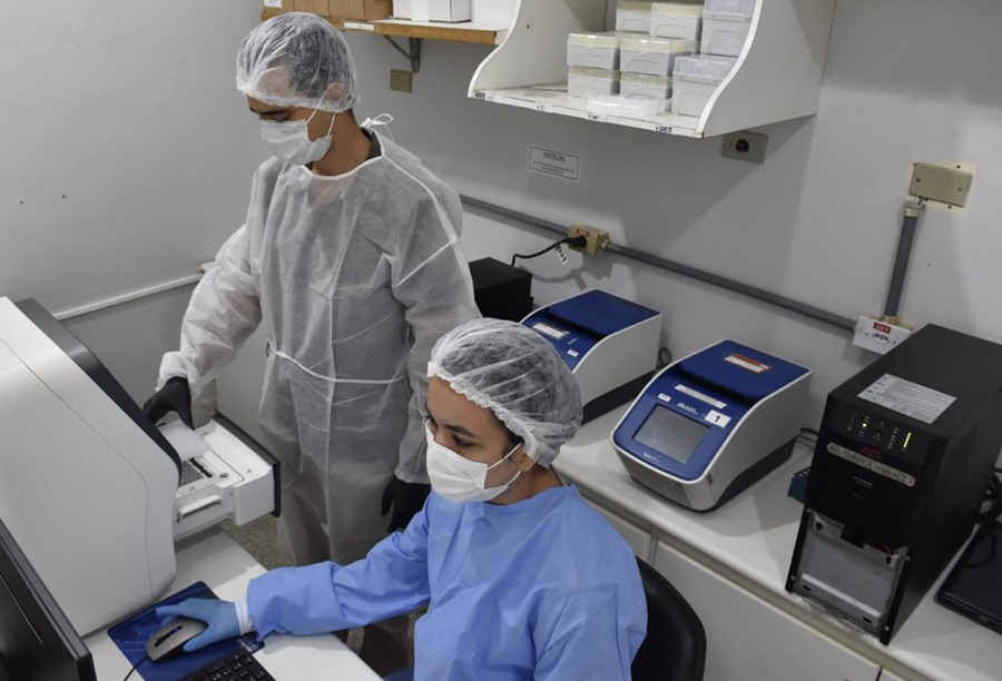 RONDÔNIA:  Estudo mostra que maioria dos casos de dengue ocorre em pessoas de 31 anos