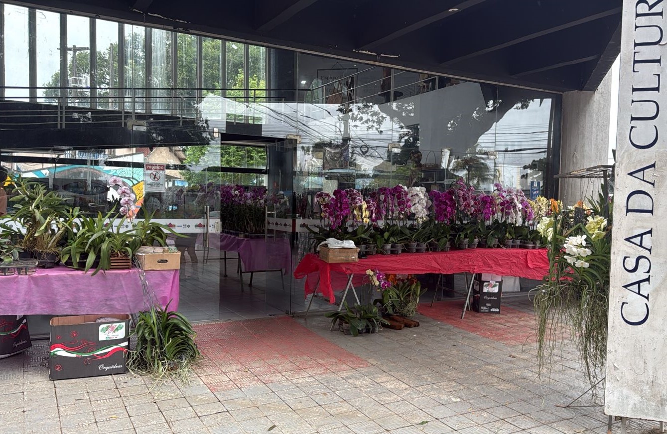 DIA DA MULHER: Festival de Orquídeas acontecendo na Casa da Cultura Ivan Marrocos 