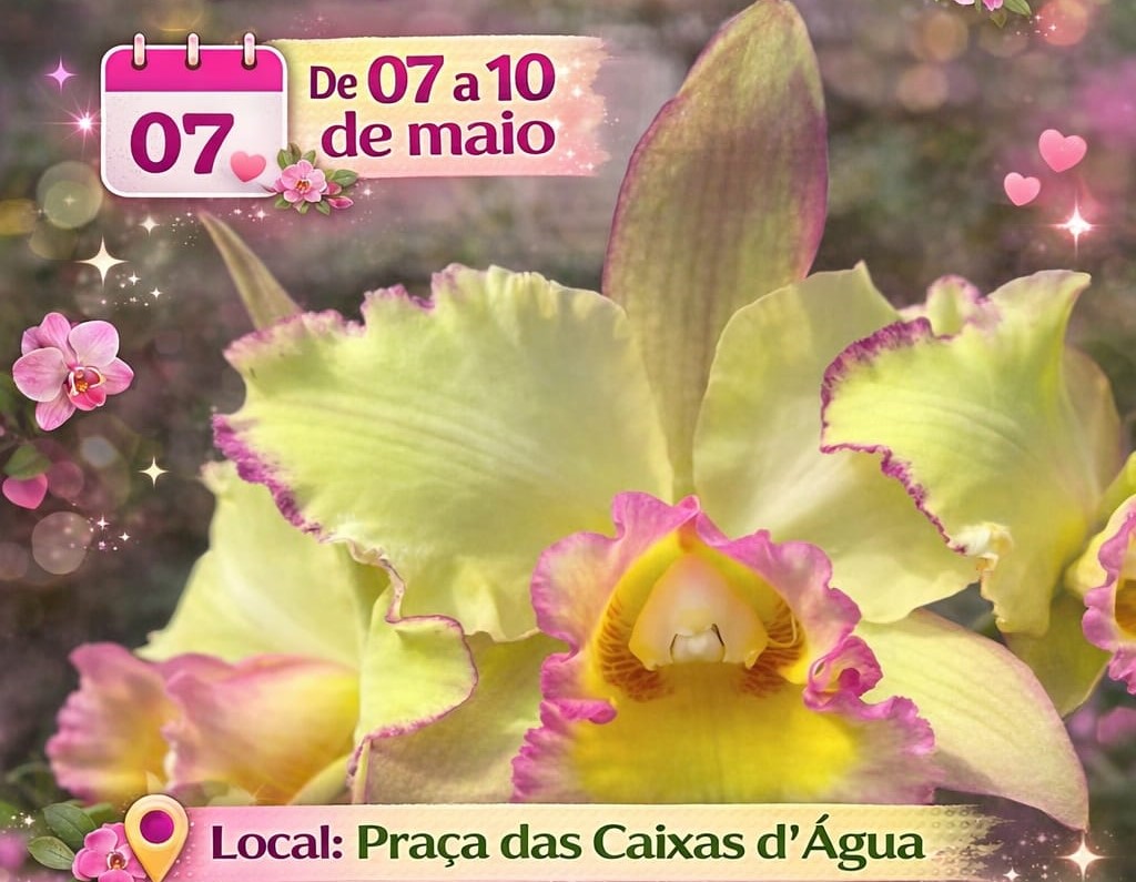 FLORES: Vem aí mais um mega festival de Orquídeas do Orquidário Pai e Filho 