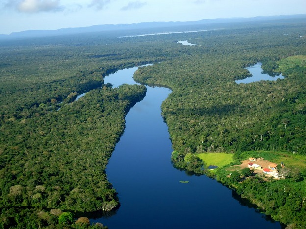 LEVANTAMENTO: Resultado preliminar de levantamento florestal em Rondônia será apresentado