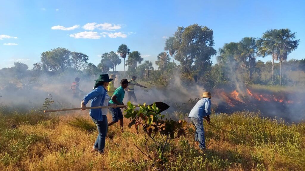 CONTRA QUEIMADAS: Nova cartilha orienta uso planejado do fogo para reduzir incêndios florestais 