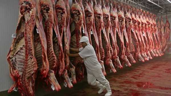 ABRAFRIGO: Exportação de carne bovina bate recorde em julho