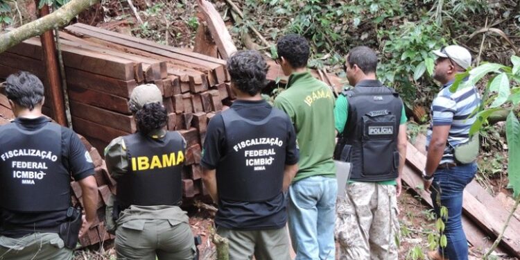 DÚVIDAS: MPF entra com ação civil pública contra fusão do Ibama e ICMBio