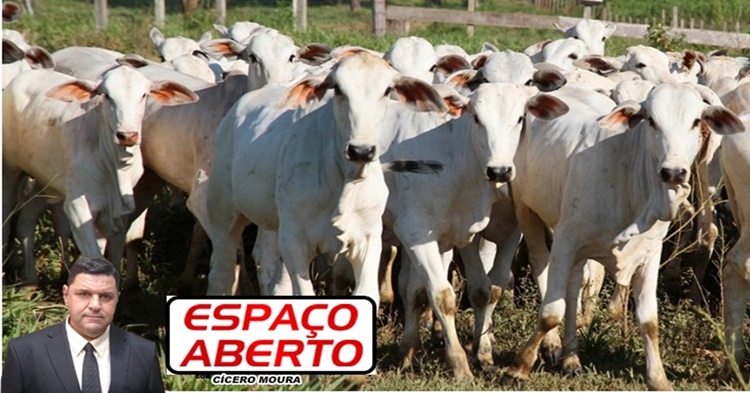 ESPAÇO ABERTO: Rondônia pode ter prejuízo bilionário e carne subir de preço mais ainda