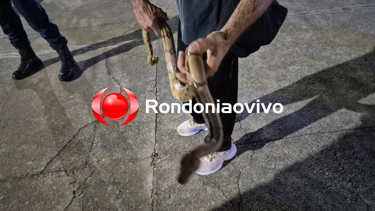 ESPAÇO ALTERNATIVO: Idoso resgata cobra e tenta levar pra casa; PM e Bombeiros são acionados 