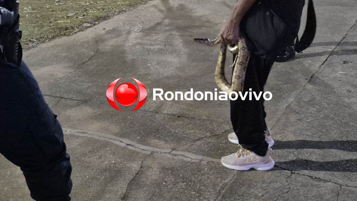 ESPAÇO ALTERNATIVO: Idoso resgata cobra e tenta levar pra casa; PM e Bombeiros são acionados 