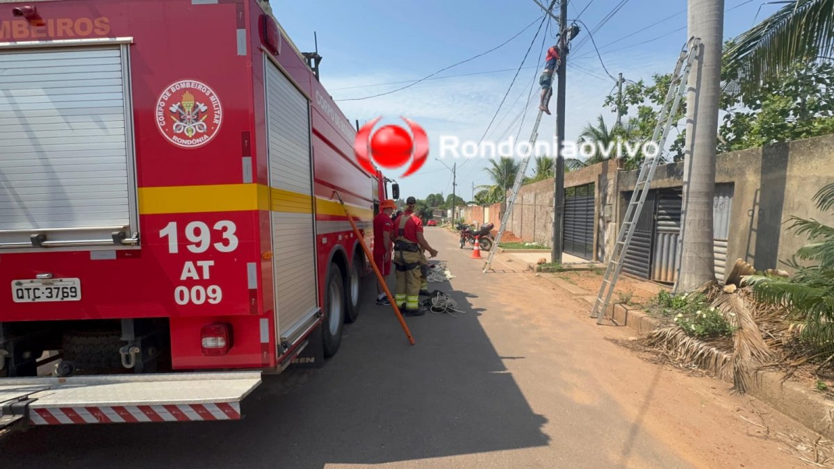 TRÁGICO: 'Léo eletricista' morre vítima de forte descarga elétrica ao subir em poste