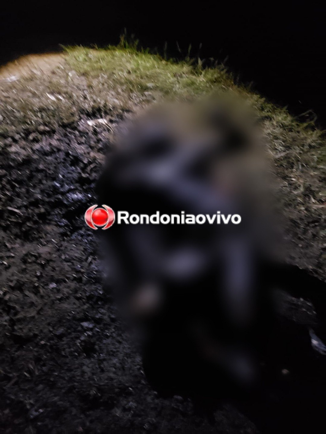 BÁRBARO: Corpo de mulher é encontrado carbonizado