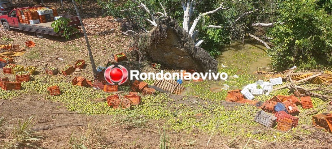 PERDEU O CONTROLE: Caminhoneiro que vinha de São Paulo morreu em capotamento na BR-364