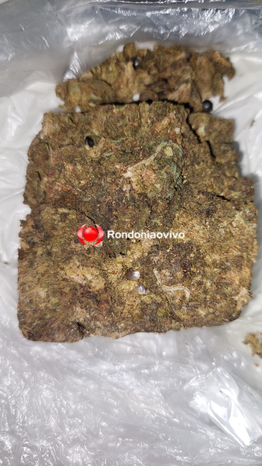 'BOCA DA MARICA': Equipe do sgt Machado prende mãe e filho por tráfico em restaurante 