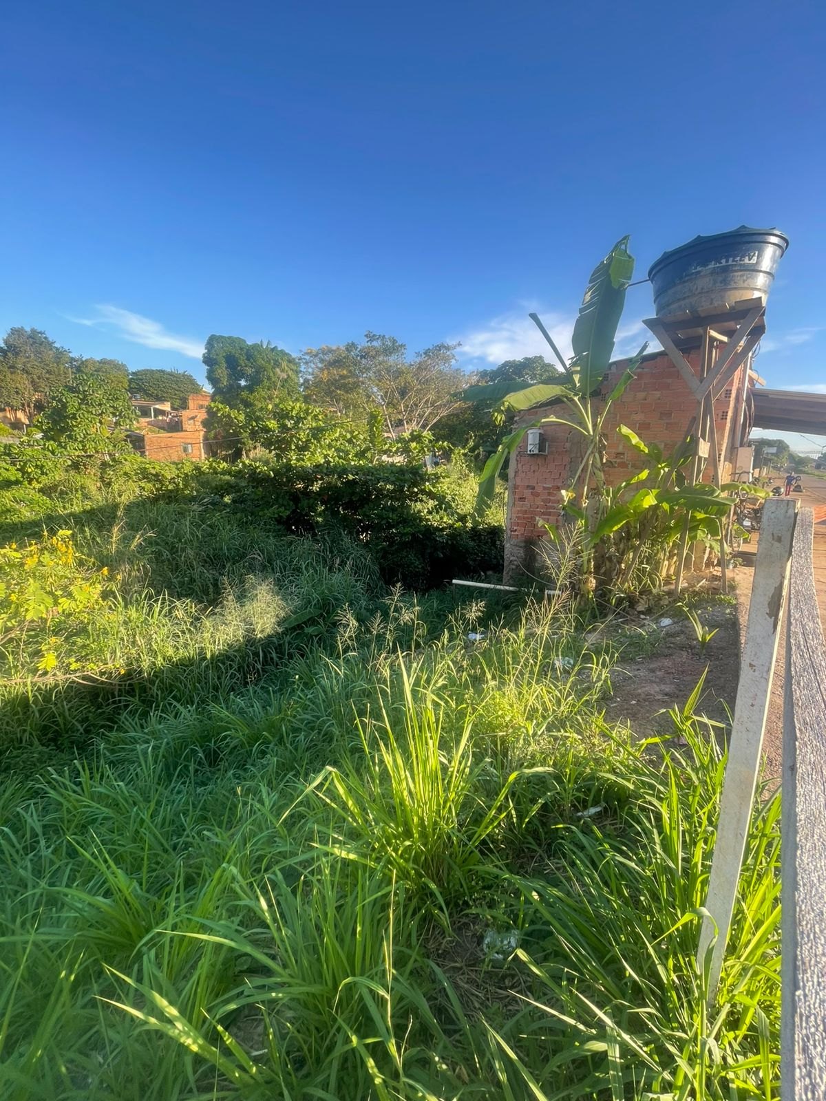 PASTOR EVANILDO: Moradores do bairro Floresta sofrem com canal entupido; vereador cobra limpeza urgente