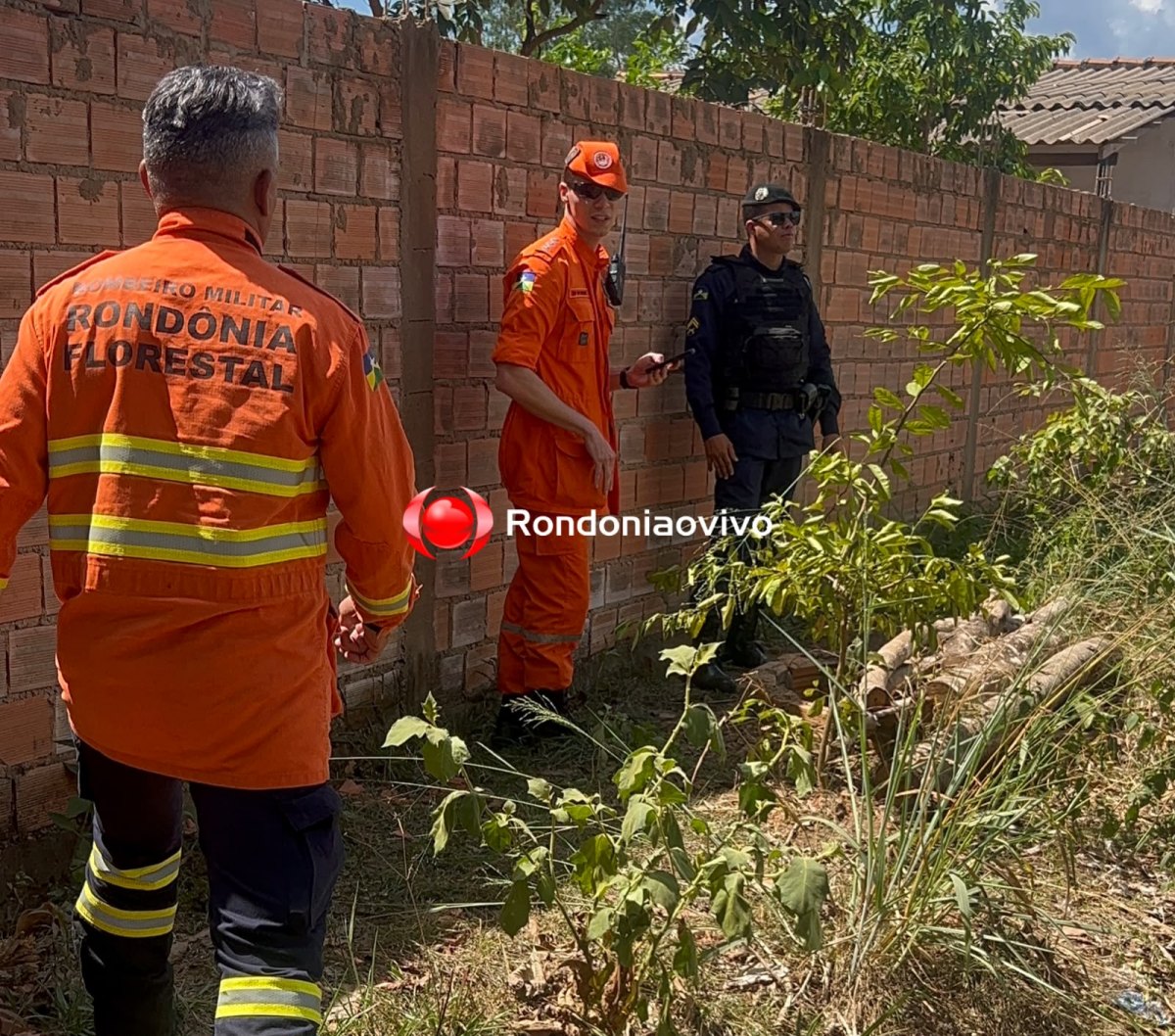 AO VIVO: Bombeiros e PM intensificam buscas por corpo de jovem no bairro Planalto