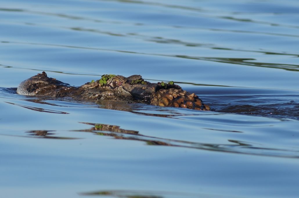 LAGO DO CUNIÃ: Rotas turísticas a caminho da sustentabilidade