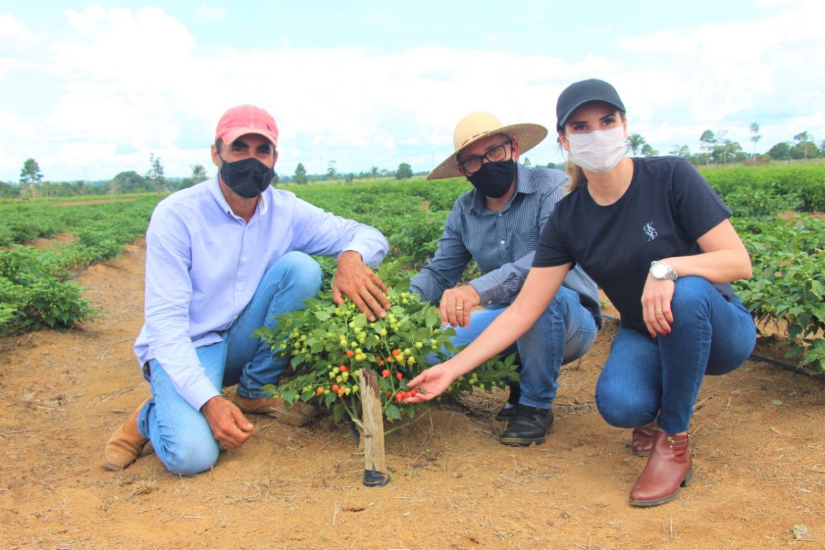 ARIQUEMES: Prefeita Carla Redano visita produtores e garante apoio ao homem do campo