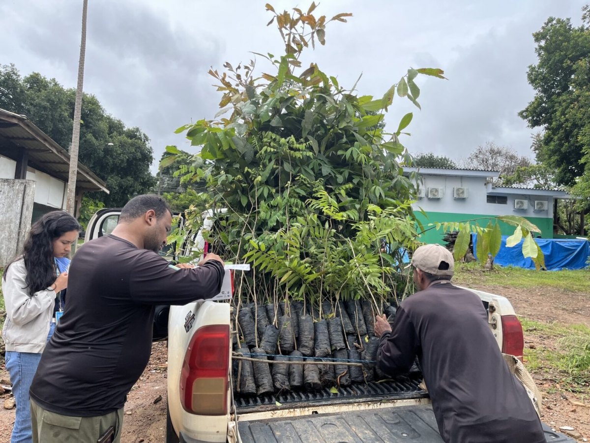 ENERGIA E MEIO AMBIENTE: O equilíbrio necessário para o desenvolvimento de Rondônia