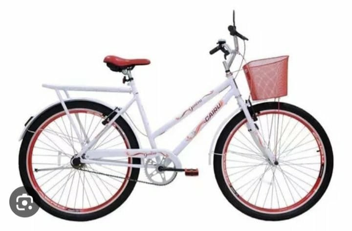 VÍDEO: Ladrão é filmado furtando bicicleta na frente de loja de material de construção