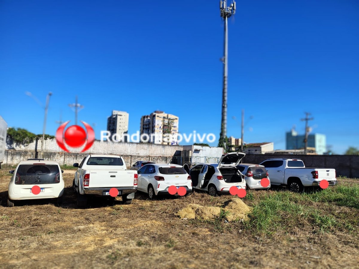 OPERAÇÃO: Denarc de RO e do DF prendem traficantes e apreendem vários quilos de drogas