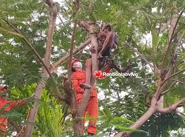 VÍDEO: Homem sofre choque em corte de árvore e fica de ponta-cabeça 