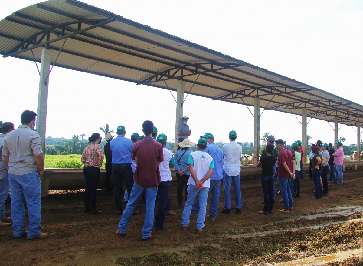 Dia de Campo Sustennutri reúne produtores rurais na fazenda Serra Verde 