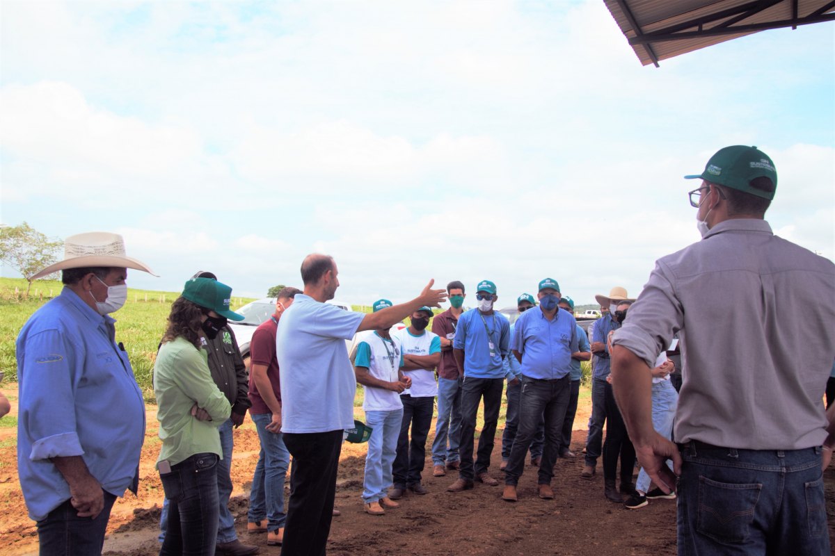 Dia de Campo Sustennutri reúne produtores rurais na fazenda Serra Verde 