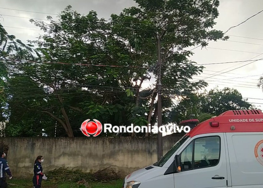 VÍDEO: Homem sofre choque em corte de árvore e fica de ponta-cabeça 