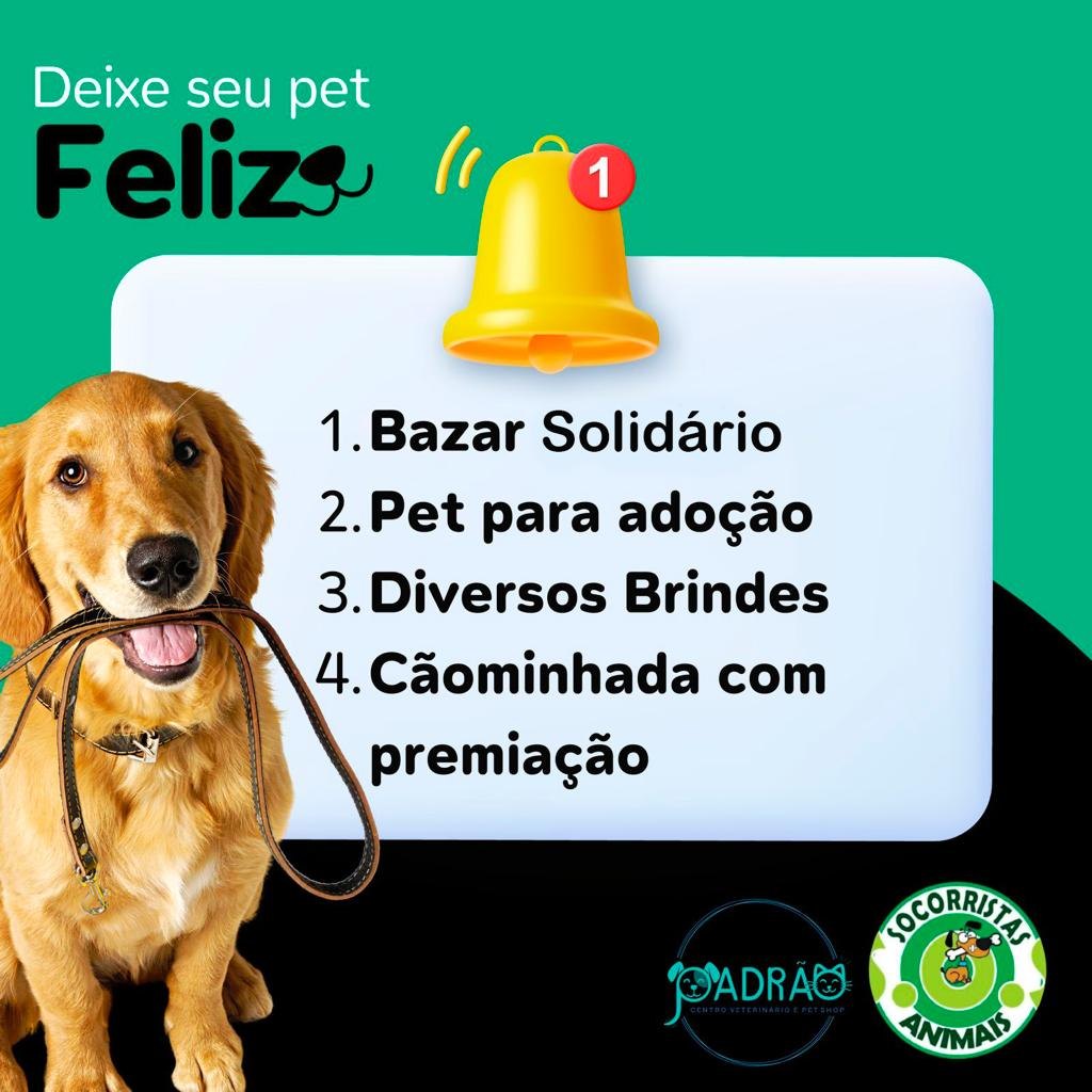 MÁRCIA SOCORRISTA: Vem aí a 1ª Cãominhada de Porto Velho