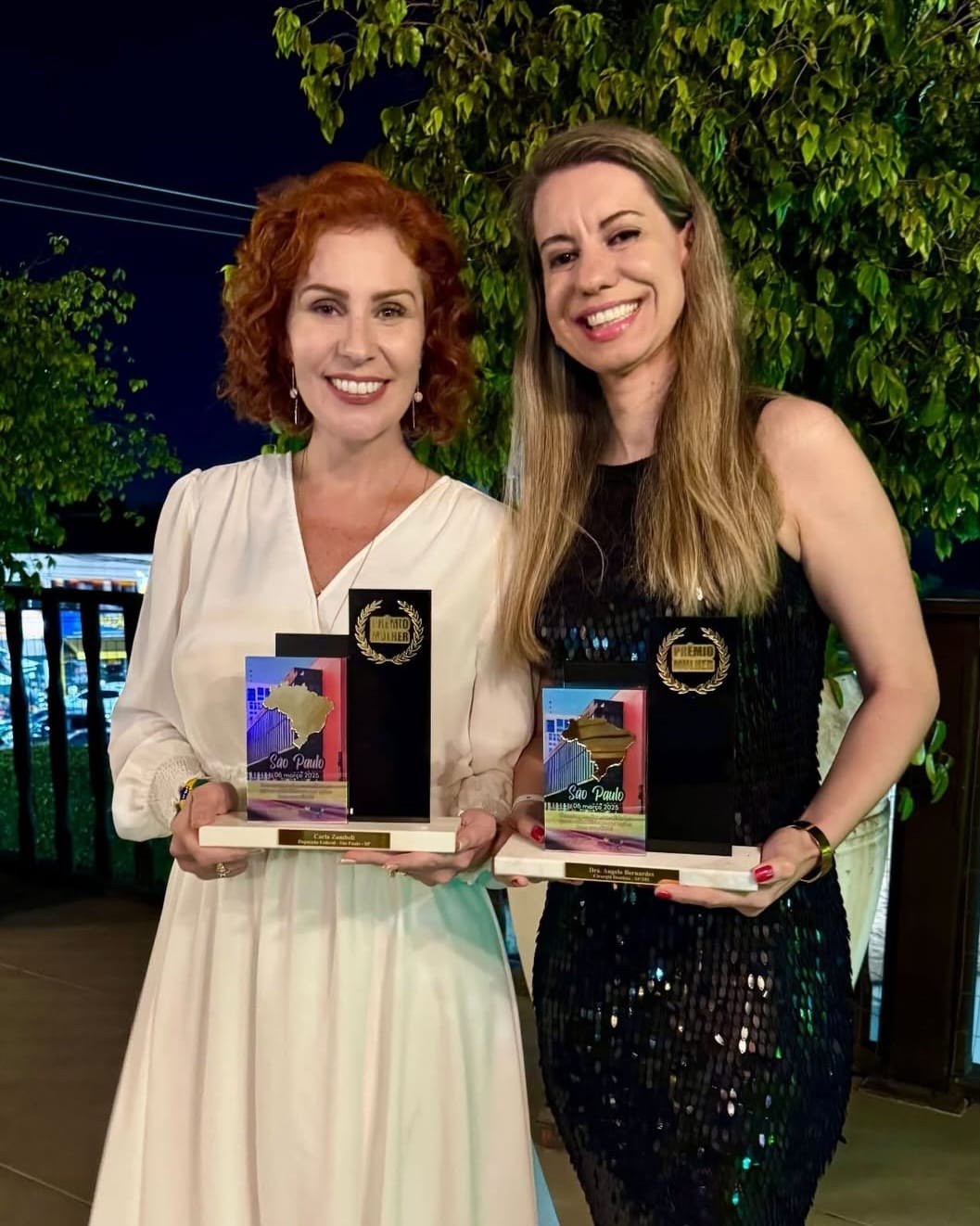 BRILHANDO: TERGON realiza evento em São Paulo e homenageia celebridades