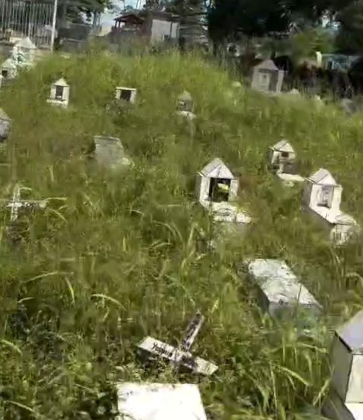 PEDIDO DE PROVIDÊNCIA: Cemitério Santo Antônio é tomado pelo mato em Porto Velho