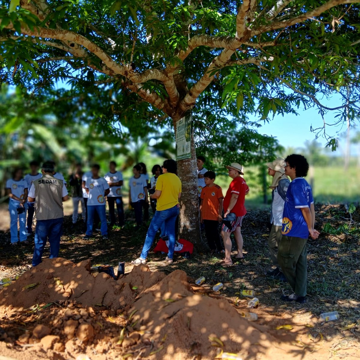 MEIO AMBIENTE: Comunidade do Assentamento Madre Cristina une forças em ação ambiental coletiva