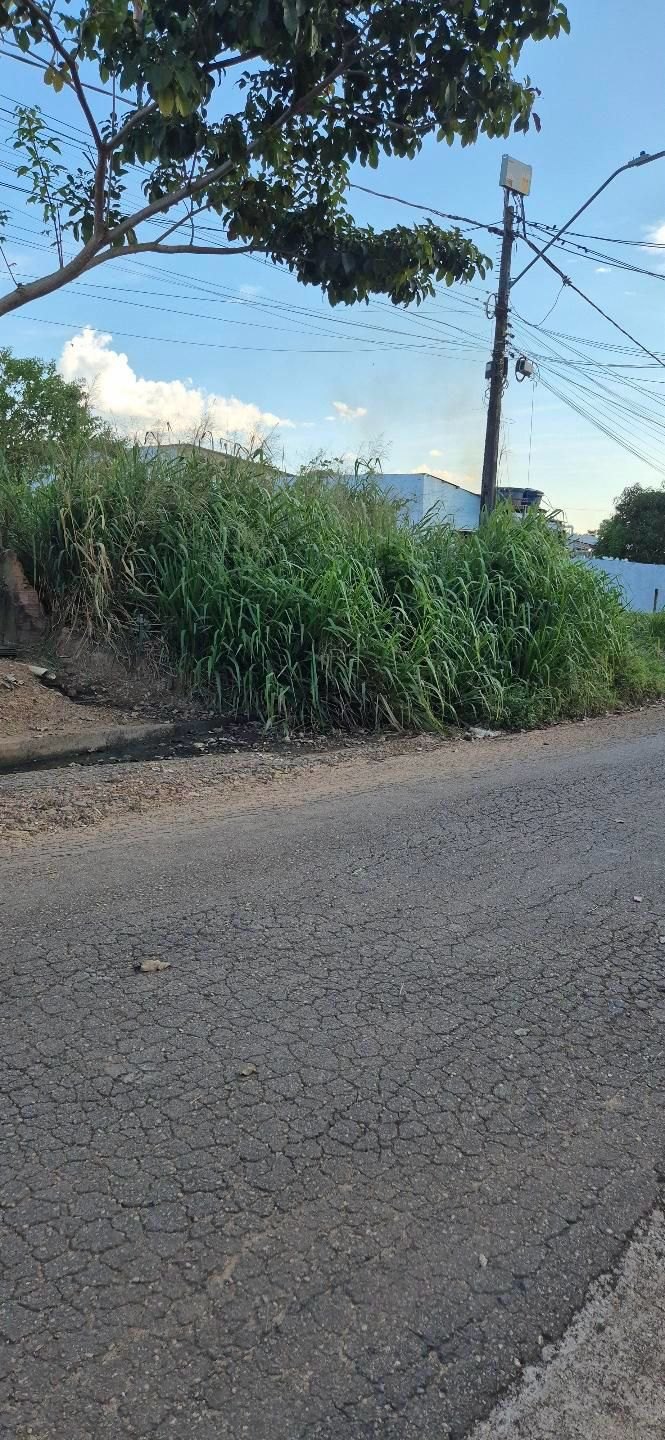 PEDIDO DE PROVIDÊNCIA:  Moradora denuncia matagal alto em terreno no bairro Aeroclube