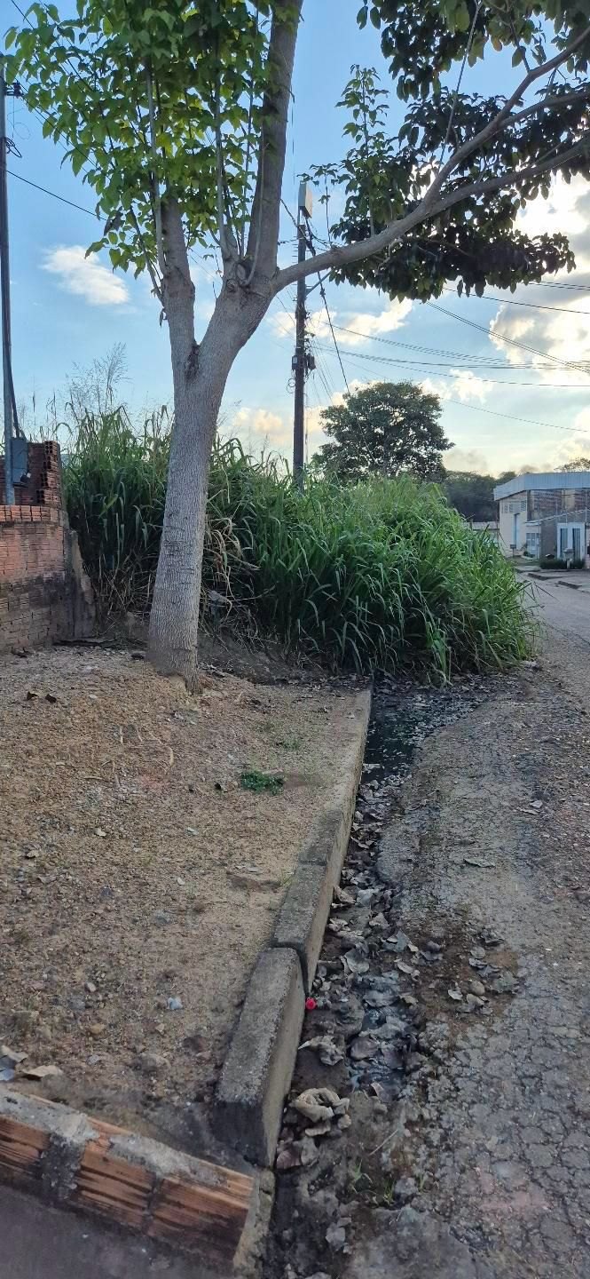PEDIDO DE PROVIDÊNCIA:  Moradora denuncia matagal alto em terreno no bairro Aeroclube