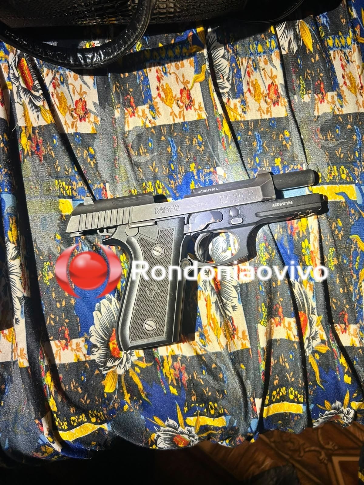 ESCUDO DE CINZAS: Operação da Draco prende acusados de comércio de armas e crimes ambientais 
