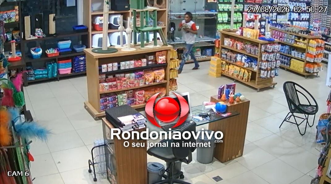 VÍDEO: Ladrão invade pet shop e furta gato e cachorrinho na Calama