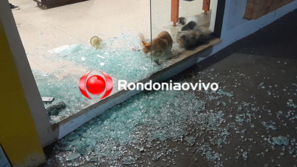 VÍDEO: Ladrão invade pet shop e furta gato e cachorrinho na Calama