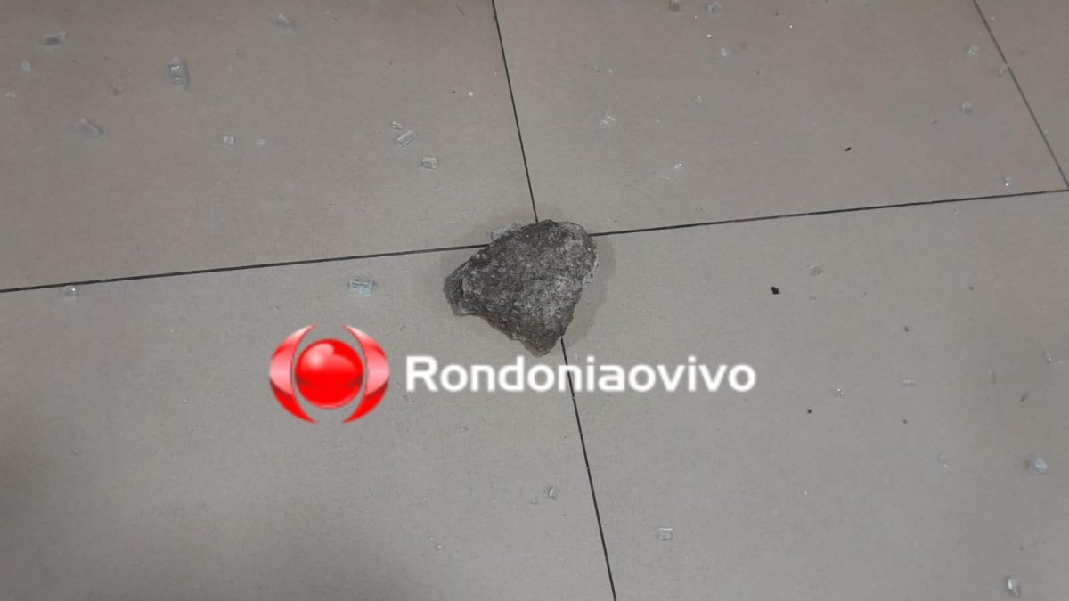 VÍDEO: Ladrão invade pet shop e furta gato e cachorrinho na Calama