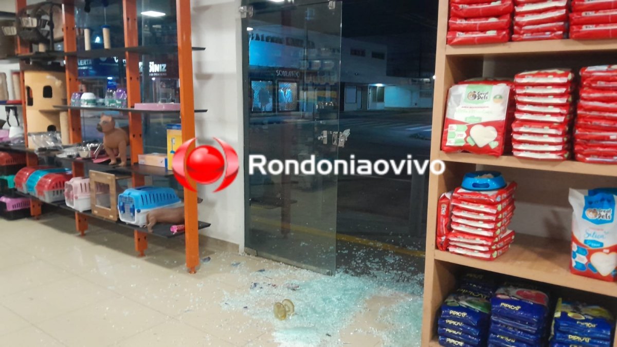 VÍDEO: Ladrão invade pet shop e furta gato e cachorrinho na Calama