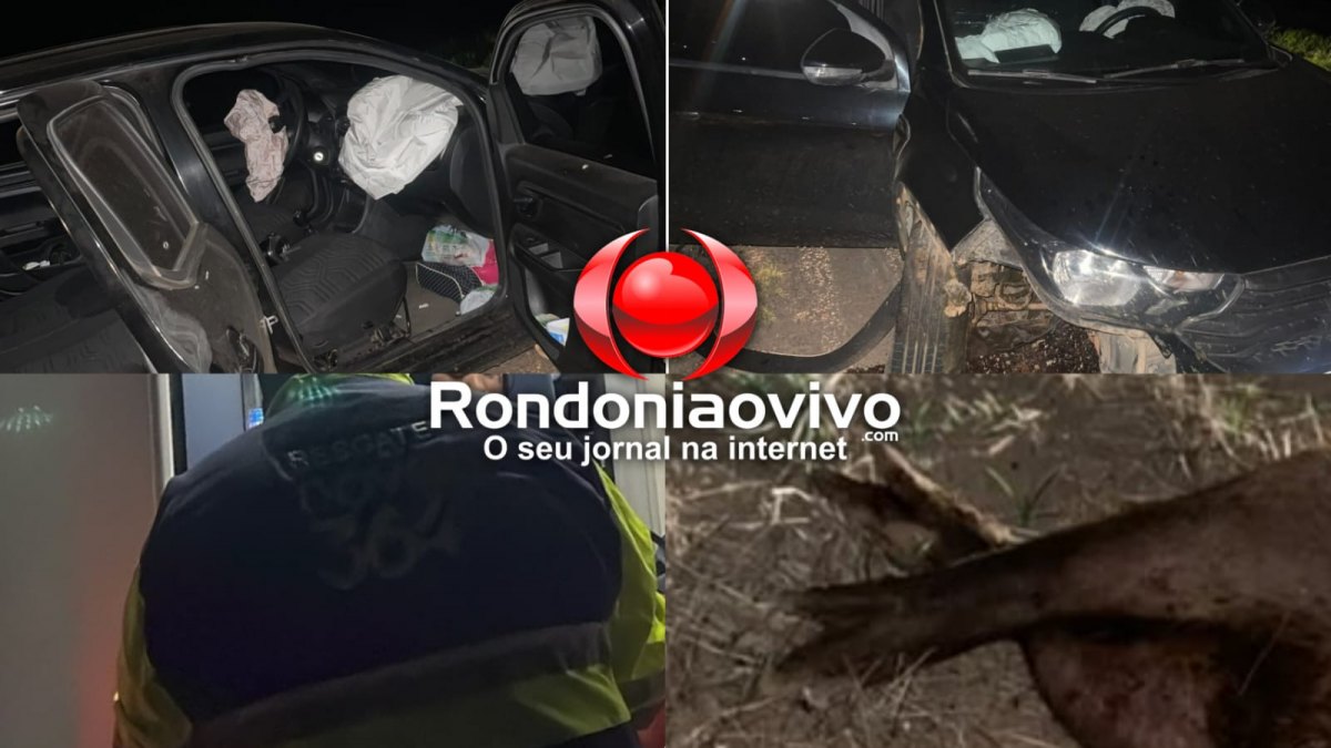 NA BR-364: Coordenadores de campanha sofrem acidente após carro atingir capivara