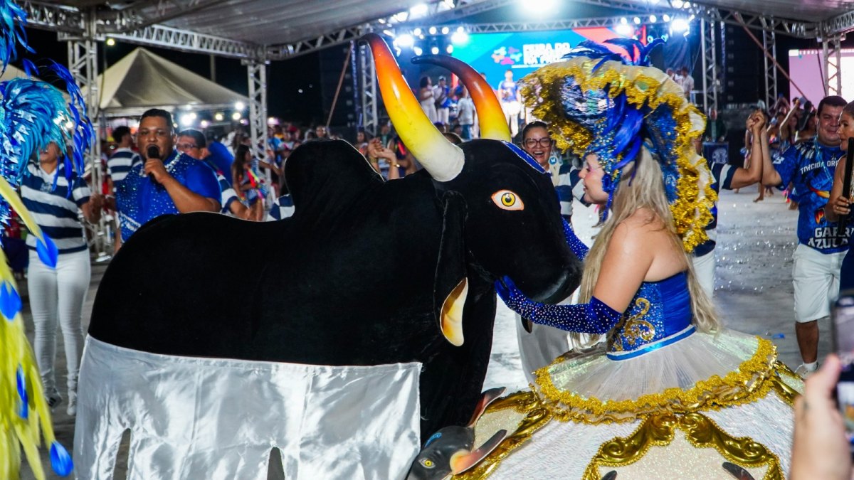EM GUAJARÁ-MIRIM: Fecomércio RO encerra projeto com encontro de bois e festa da cultura amazônica
