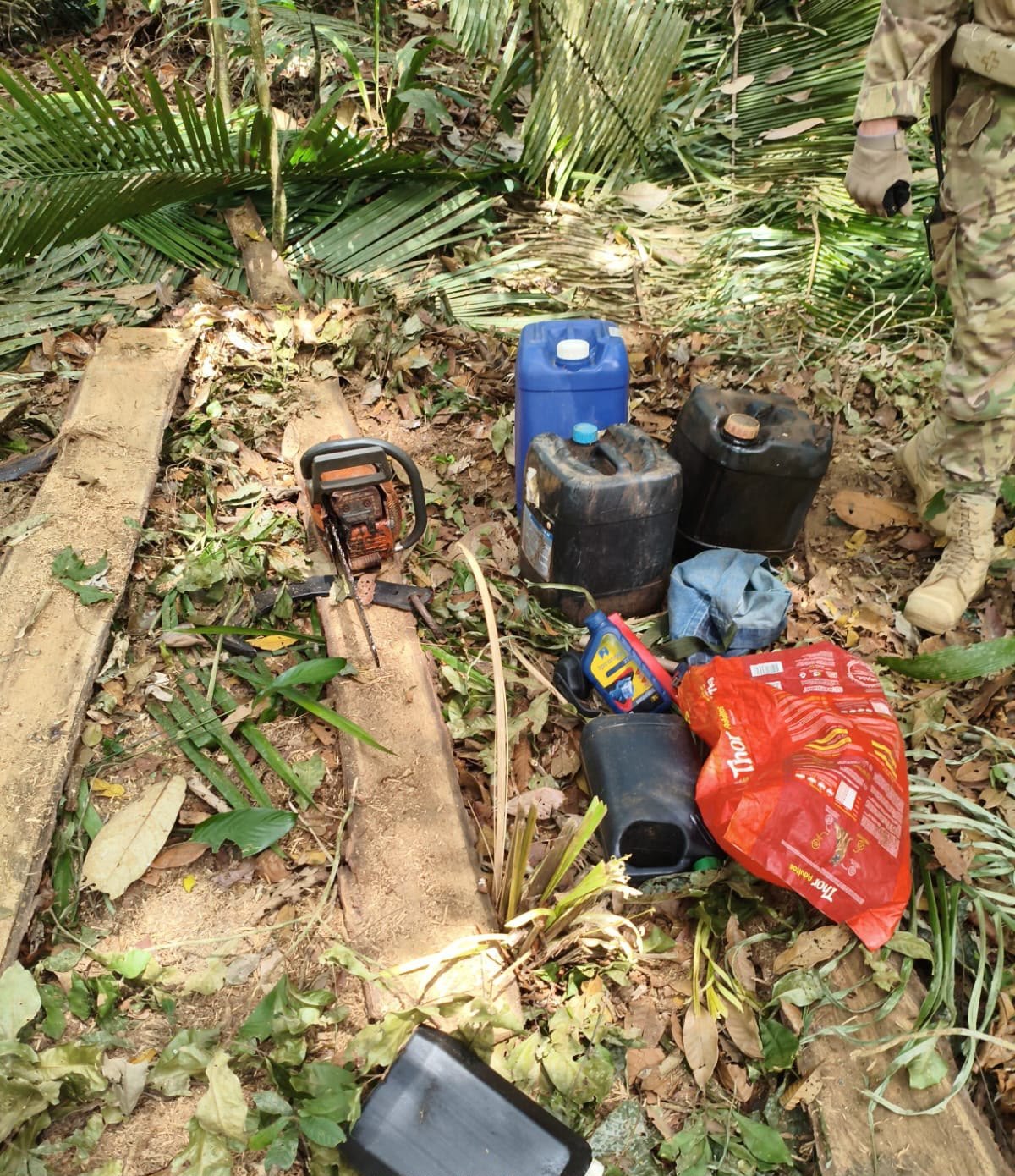 IGARAPÉ LAGE: PF combate extração ilegal de madeira em terra indígena de Rondônia