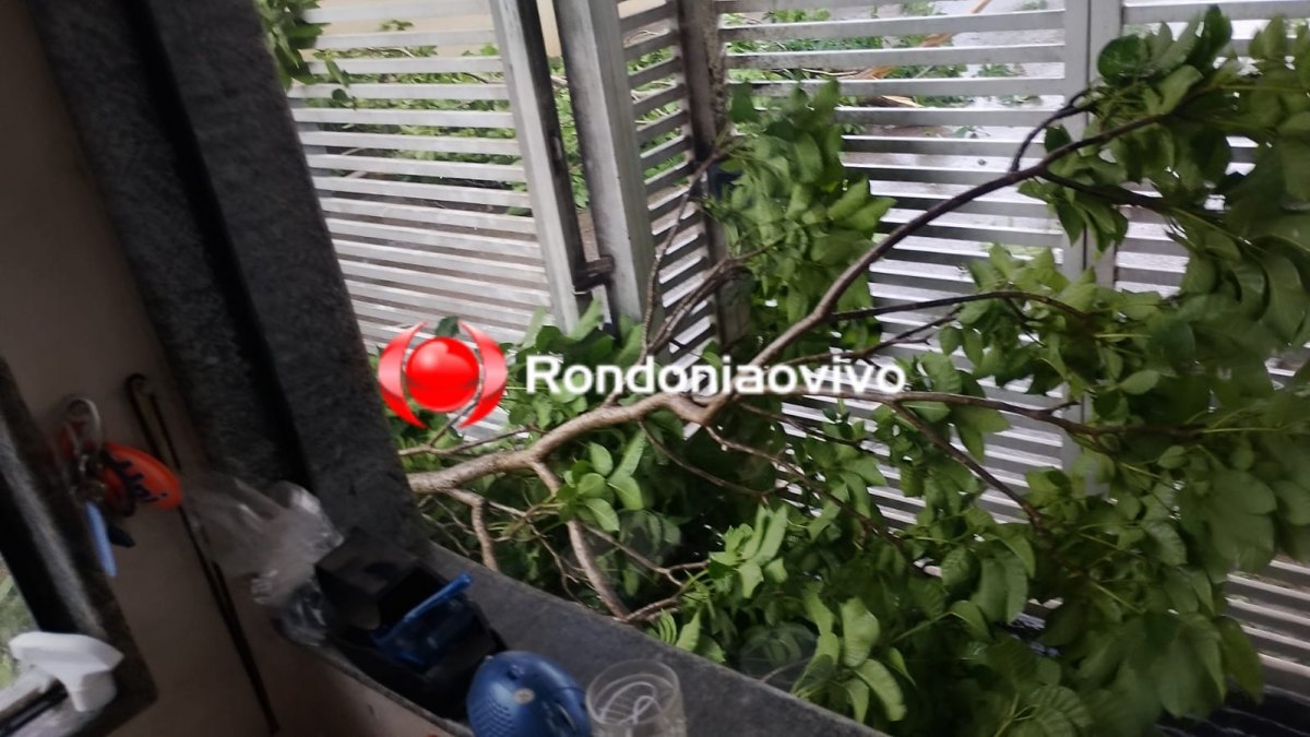 VÍDEO: Forte chuva com ventania causa estragos na zona Sul da capital