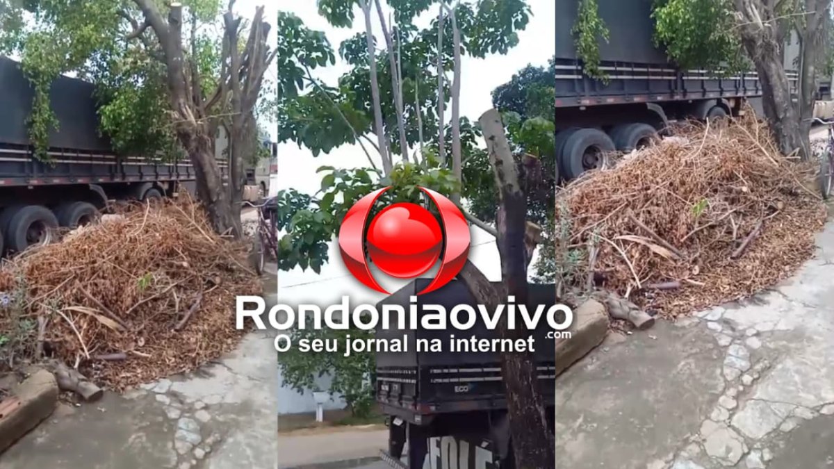 PEDIDO DE PROVIDÊNCIA: Galhos cortados há 15 dias acumulam sujeira e causam perigo na Rua Uruguai