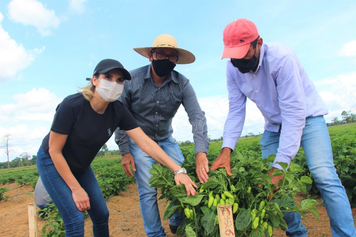 ARIQUEMES: Prefeita Carla Redano visita produtores e garante apoio ao homem do campo