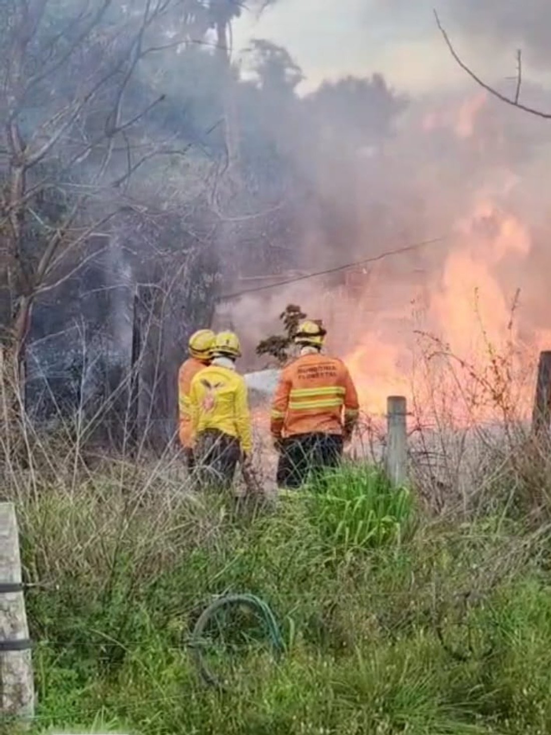 VÍDEO: Incêndio de grandes proporções destrói residência em Campo Novo de Rondônia