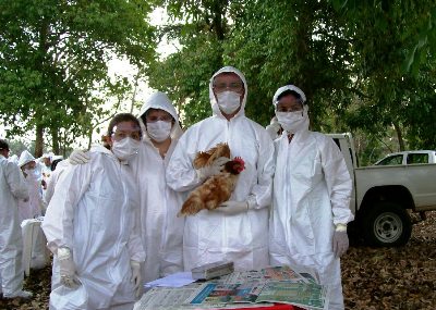 Rondônia obtém conceito “C” de eficiência no combate à gripe das aves