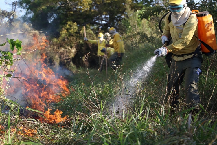 IBAMA: Compra de 10 mil litros de retardantes de chamas é suspensa