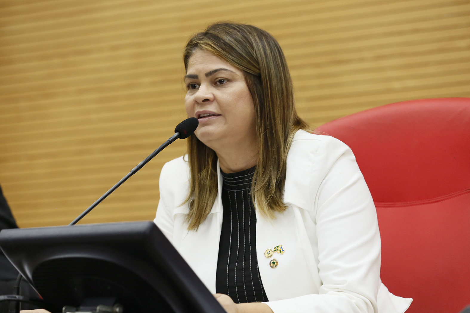 DEPUTADA: Cássia indica ao governo suspensão de vistoria presencial no período de quarentena 